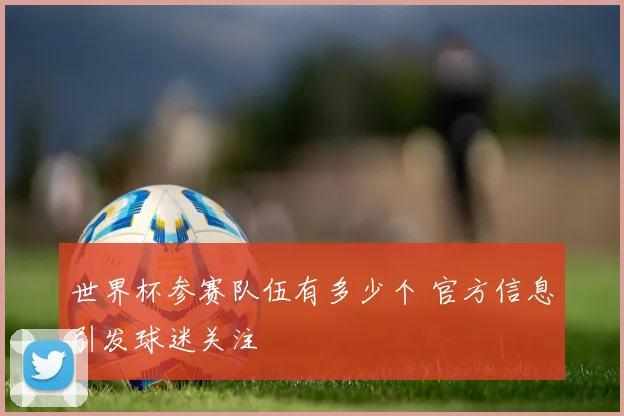 世界杯参赛队伍有多少个 官方信息引发球迷关注
