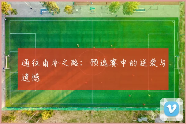 通往南非之路：预选赛中的逆袭与遗憾