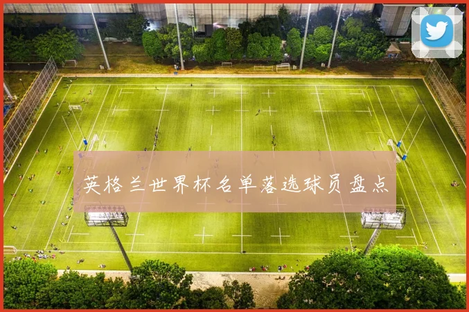 英格兰世界杯名单落选球员盘点