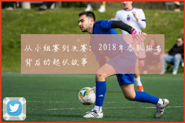 从小组赛到决赛:2018年各队排名背后的起伏故事