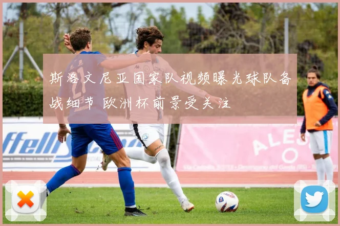 斯洛文尼亚国家队视频曝光球队备战细节 欧洲杯前景受关注