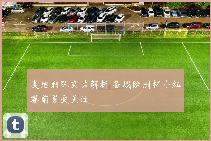 奥地利队实力解析 备战欧洲杯小组赛前景受关注
