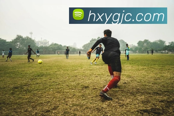 leyu乐鱼网址品牌故事